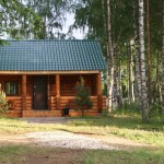 projovan004